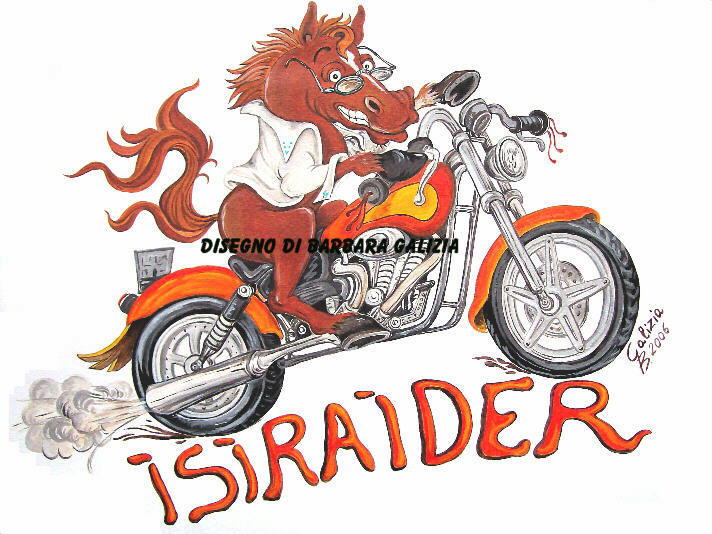 ISIRAIDER